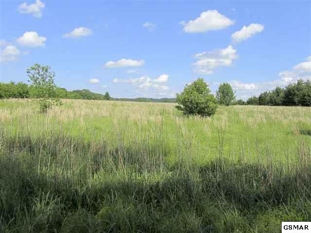 2 Harrison Ferry Road Baneberry, TN 37890 - Photo 2 of 15 Gallery Image 2
