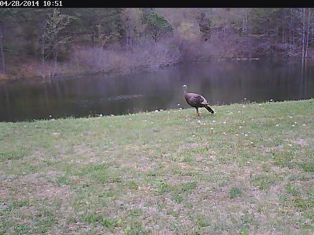 495 Mac Stevens Road McKee, KY 40447 - Photo 13 of 30 Photo 13
