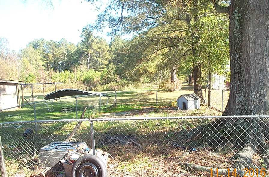 495 Devils Racetrack Road Four Oaks, NC 27524 - Photo 15 of 16 back yard