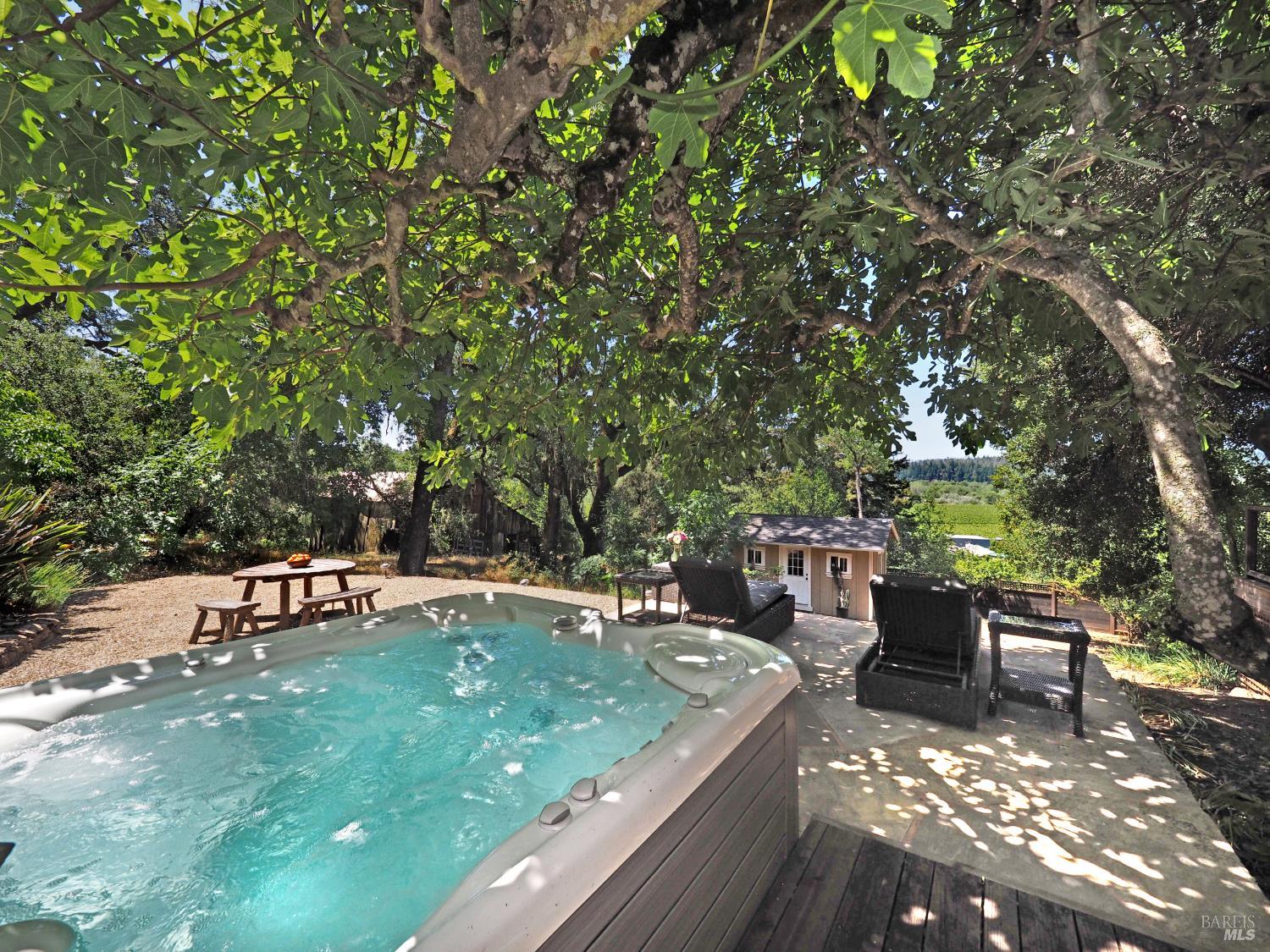 22549 River Road Geyserville, CA 95441 - Photo 42 of 63 Your private spa