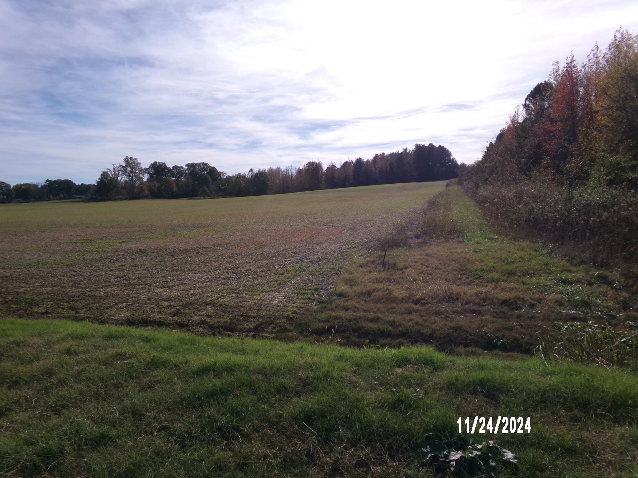Mill Road Covington, TN 38019 - Photo 8 of 11 View of yard featuring a rural view