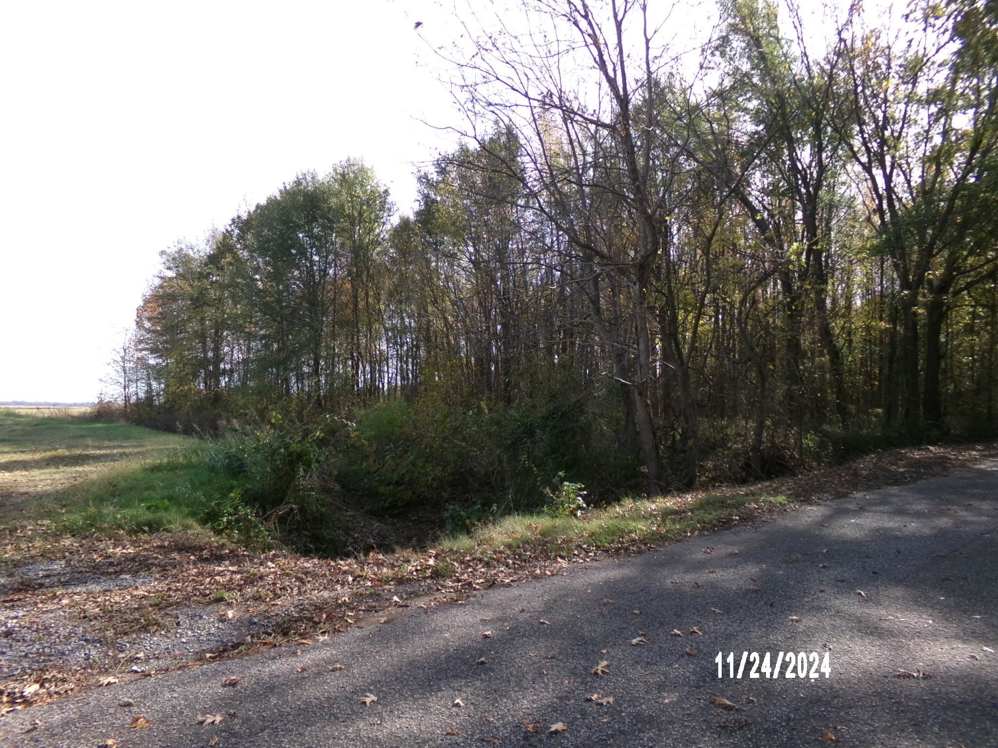 Mill Road Covington, TN 38019 - Photo 10 of 11 View of road