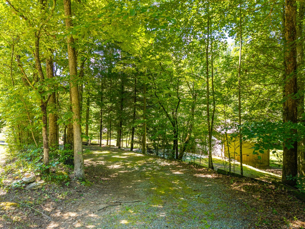 1643 Lucius Road Cherry Log, GA 30522 - Photo 39 of 45