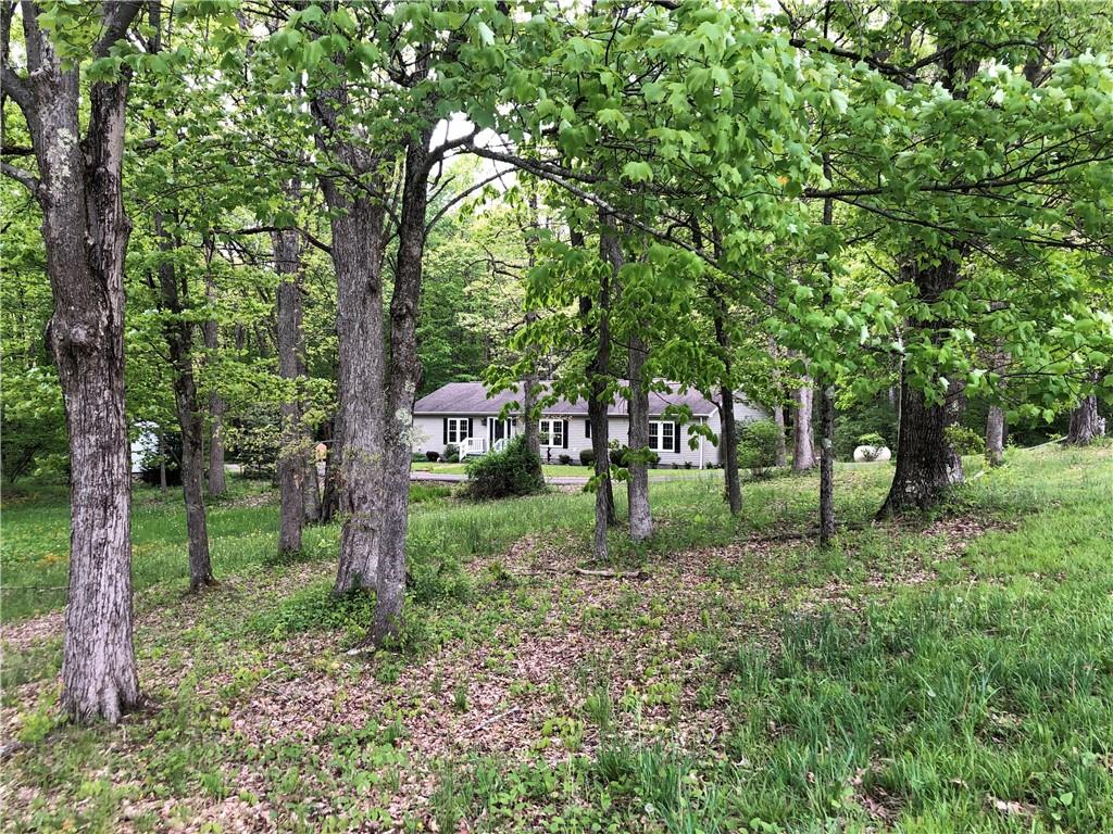 661 Nelson Road Farmington, PA 15437 - Photo 1 of 50 a green field with lots of trees