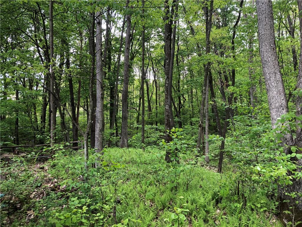 661 Nelson Road Farmington, PA 15437 - Photo 44 of 50 a view of forest