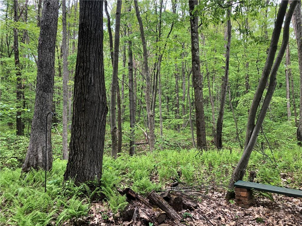 661 Nelson Road Farmington, PA 15437 - Photo 45 of 50 a view of backyard with green space