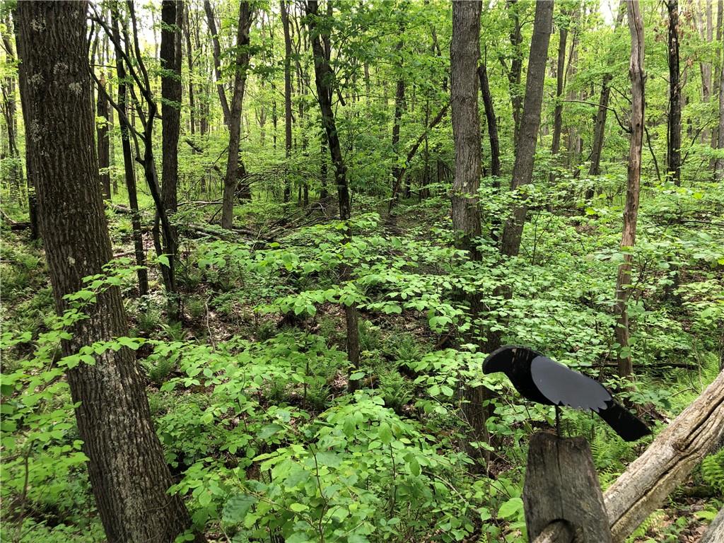 661 Nelson Road Farmington, PA 15437 - Photo 46 of 50 a view of outdoor space and garden
