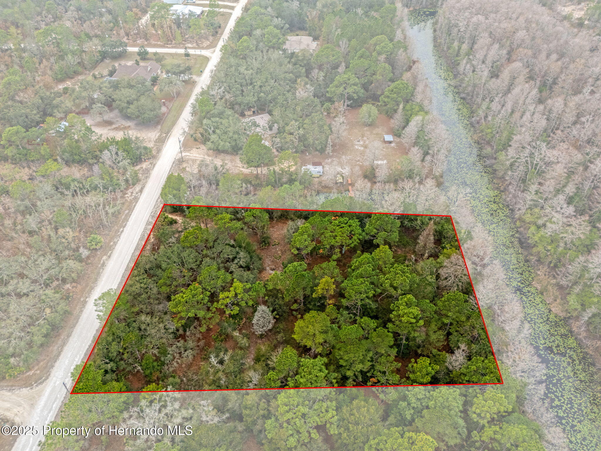 0 Yellowback Road Weeki Wachee, FL 34614 - Photo 13 of 14