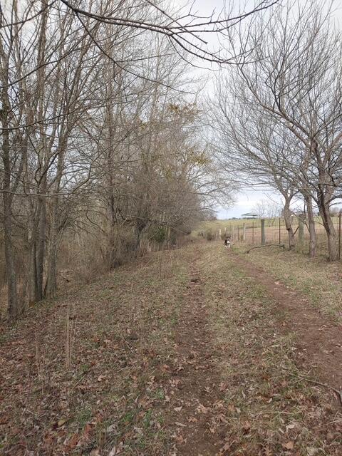 1700 Cummins Ferry Road Salvisa, KY 40372 - Photo 14 of 16 3781376898832697421