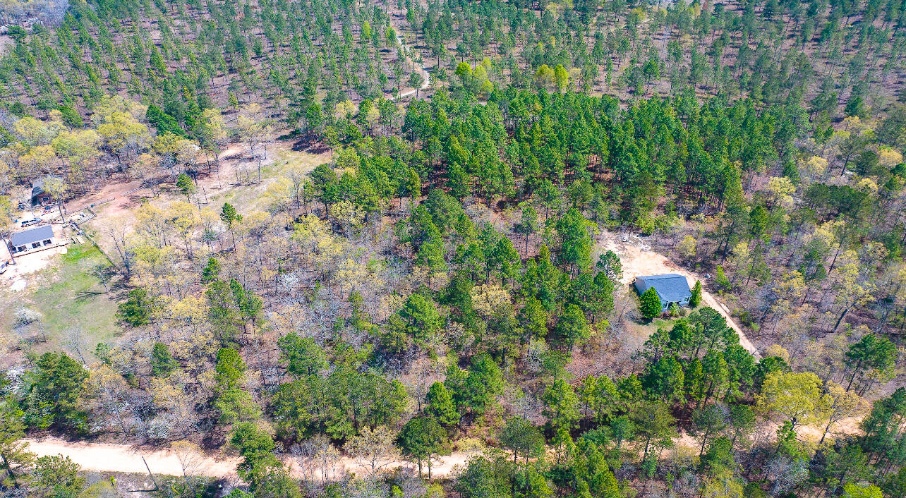 Lot 4 Bluffwood Road Wagener, SC 29164 - Photo 3 of 6 IMG_3635