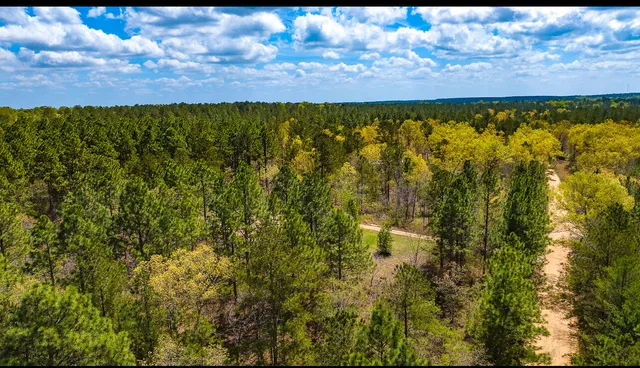 $30,000 | Lot 4 Bluffwood Road, Wagener, SC 29164