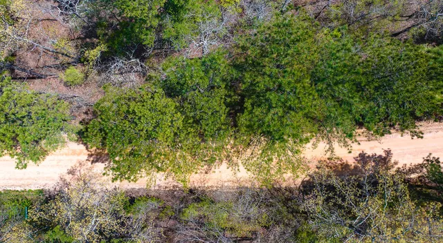 $30,000 | Lot 4 Bluffwood Road, Wagener, SC 29164