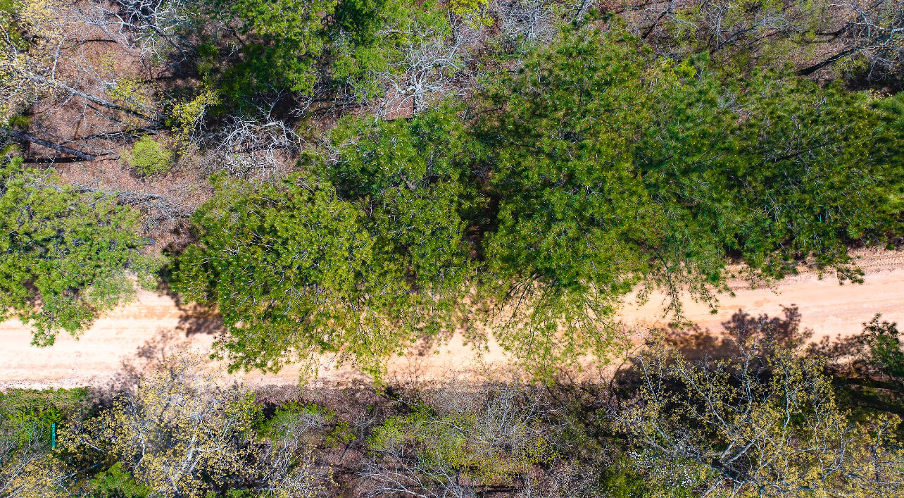 Lot 4 Bluffwood Road Wagener, SC 29164 - Photo 5 of 6 IMG_3633