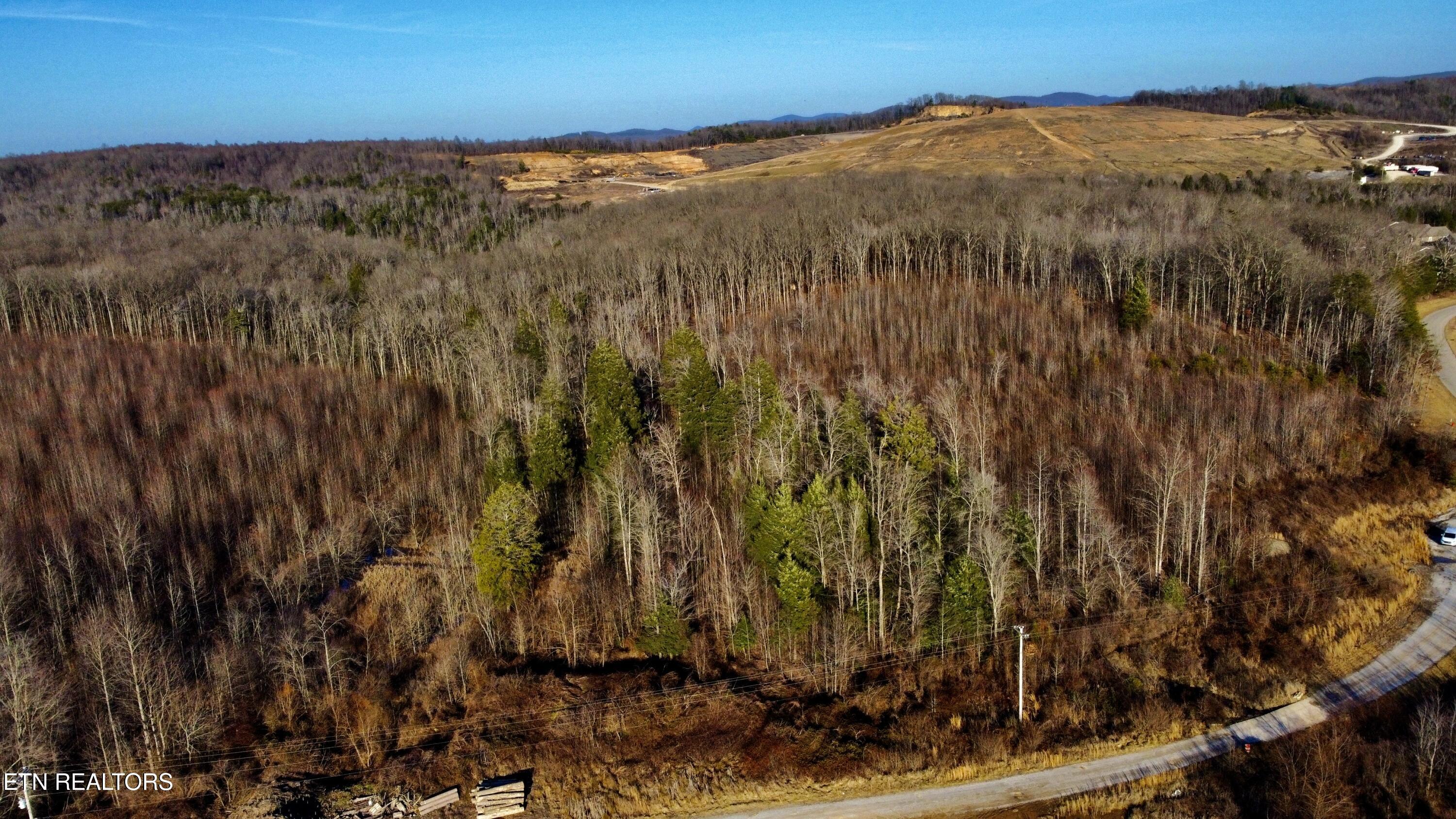30-008.00 30-008.00 (lot 9) Road Oneida, TN 37841 - Photo 1 of 7 Photo Feb 03 2025, 4 23 42 PM