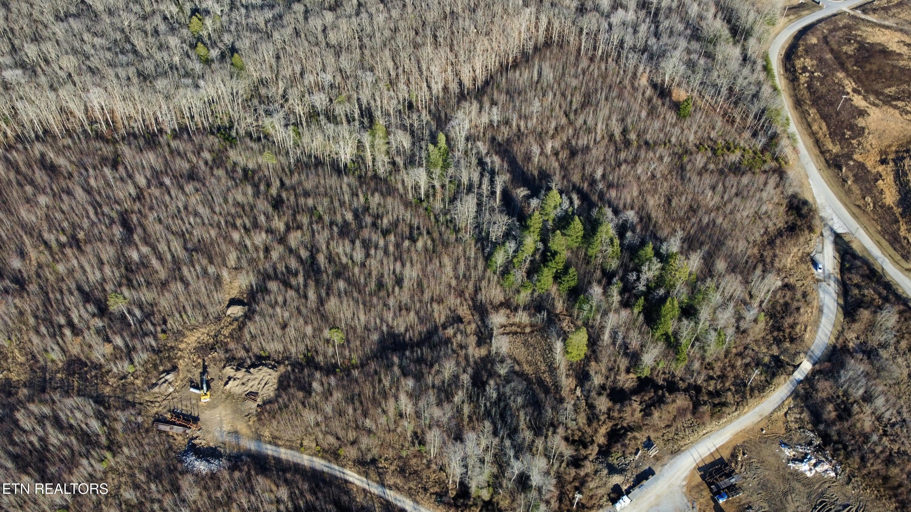 30-008.00 30-008.00 (lot 9) Road Oneida, TN 37841 - Photo 6 of 7 Photo Feb 03 2025, 4 22 24 PM