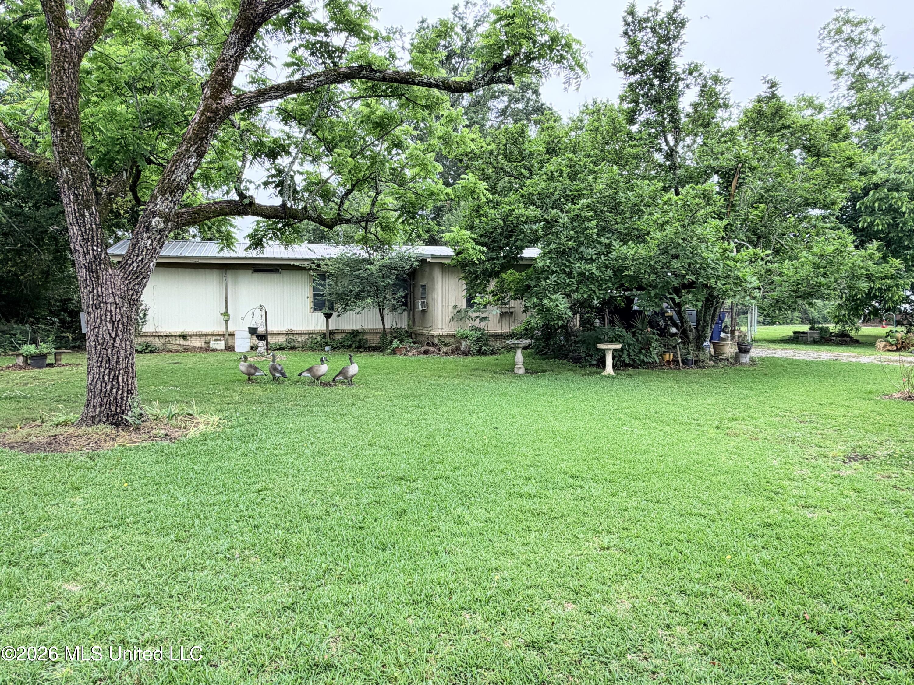 979 Bear Lake Road East Tallulah, LA 71282 - Photo 1 of 22 Photo May 20 2026, 11 12 59 AM