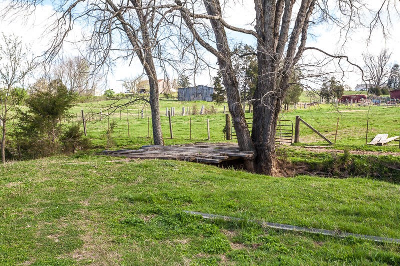 4307 McGinnis Road Corryton, TN 37721 - Photo 28 of 39 a view of a yard with plants and large trees