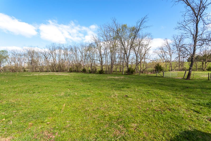 4307 McGinnis Road Corryton, TN 37721 - Photo 29 of 39 a backyard of apartments with large trees