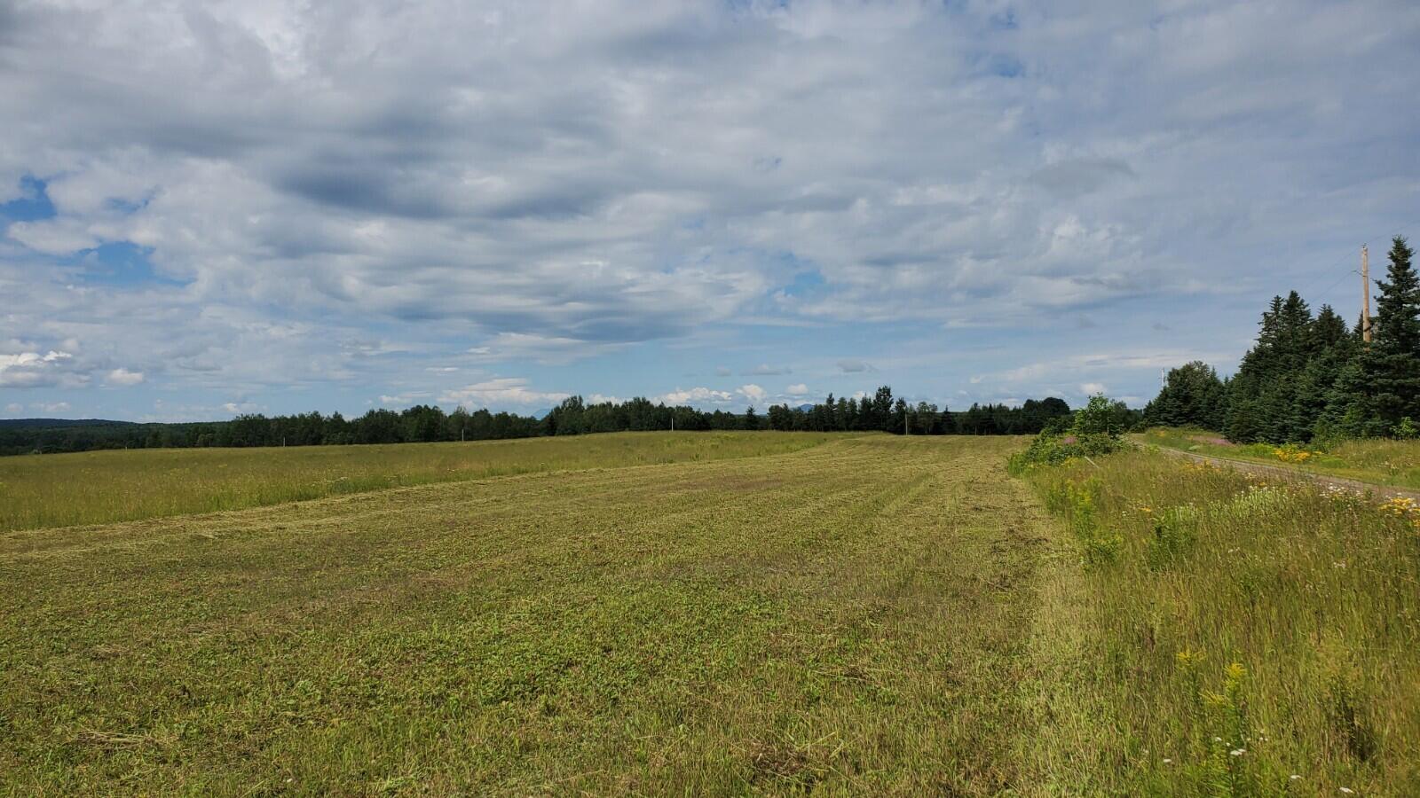 Lot 29 Rebel Hill Road Merrill, ME 04780 - Photo 10 of 11 20210723_102219