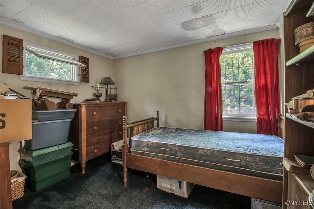 8905 County Road Clarence, NY 14032 - Photo 26 of 26