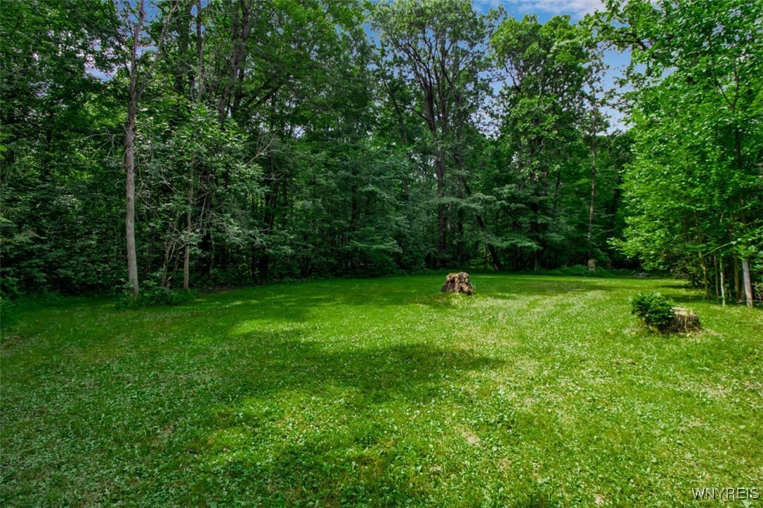 8905 County Road Clarence, NY 14032 - Photo 6 of 26