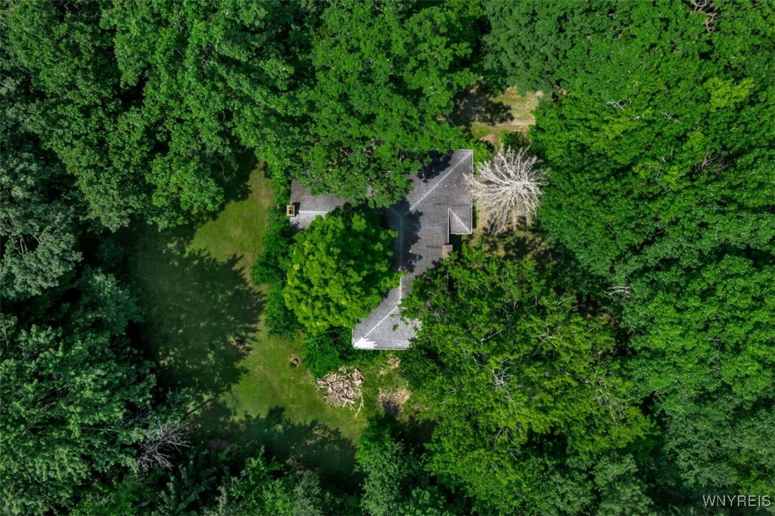 8905 County Road Clarence, NY 14032 - Photo 7 of 26