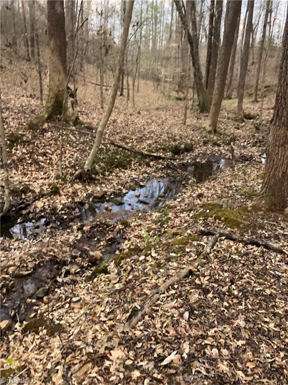 0 Hen Road Stoneville, NC 27048 - Photo 11 of 12 Gallery Image 11