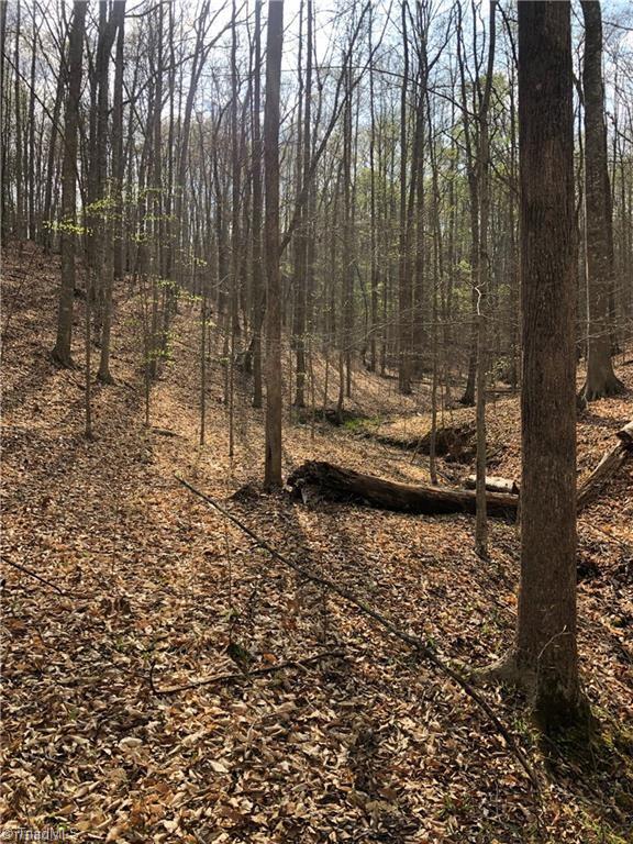 0 Hen Road Stoneville, NC 27048 - Photo 12 of 12 Gallery Image 12