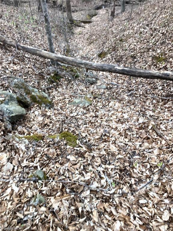 0 Hen Road Stoneville, NC 27048 - Photo 8 of 12 Gallery Image 8