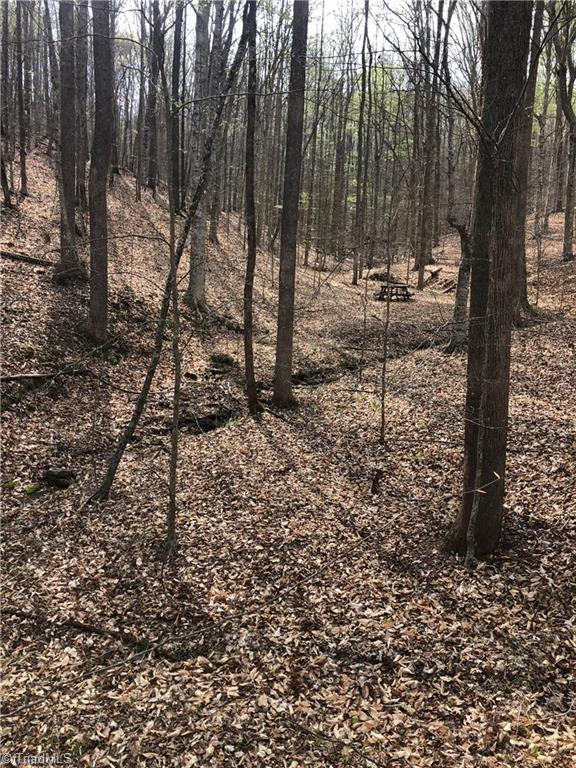 0 Hen Road Stoneville, NC 27048 - Photo 9 of 12 Gallery Image 9