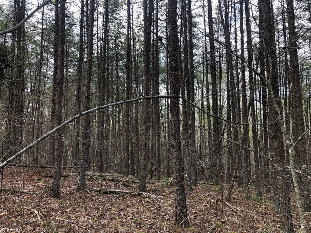 0 Hen Road Stoneville, NC 27048 - Photo 10 of 12 Gallery Image 10