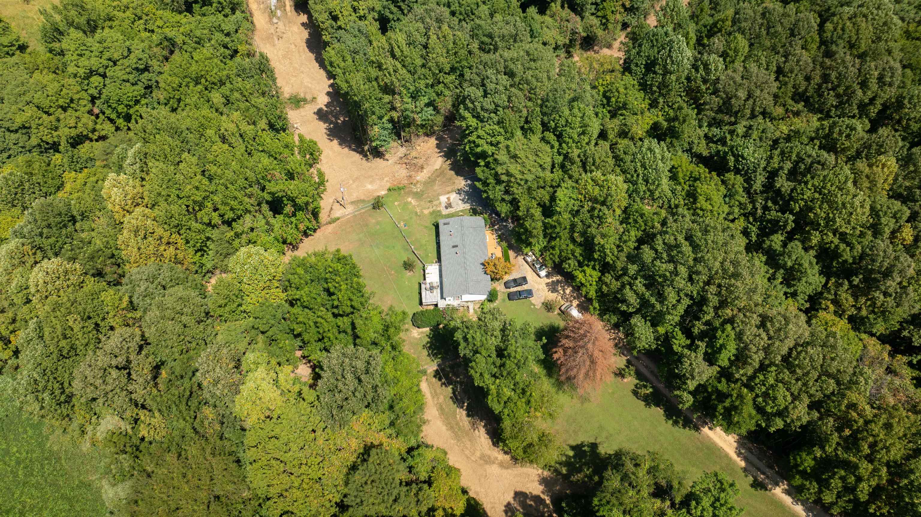 328 Cates Road Halls, TN 38040 - Photo 31 of 36 Wooded surroundings with a single-story residence and a gravel drive