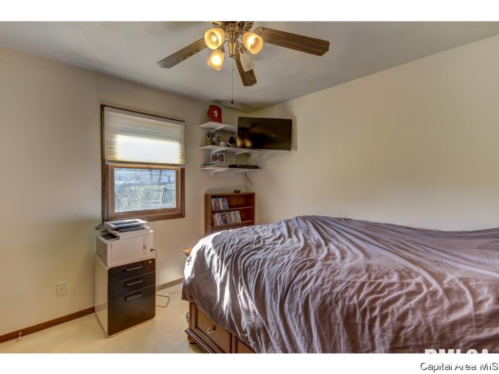 212 Tulip Drive Springfield, IL 62707 - Photo 18 of 36 Gallery Image 18