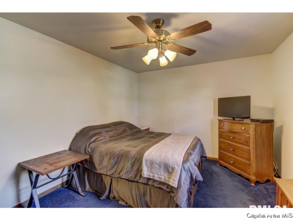 212 Tulip Drive Springfield, IL 62707 - Photo 19 of 36 Gallery Image 19