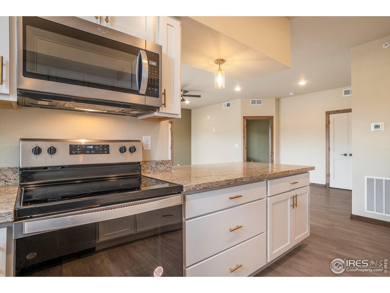 1700 Wildfire Road, Unit 201 Estes Park, CO 80517 - Photo 4 of 17