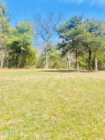 $60,000 | Lot Vineyard Lot Vineyard Valley Drive, Unit 20, Butler, TN 37640