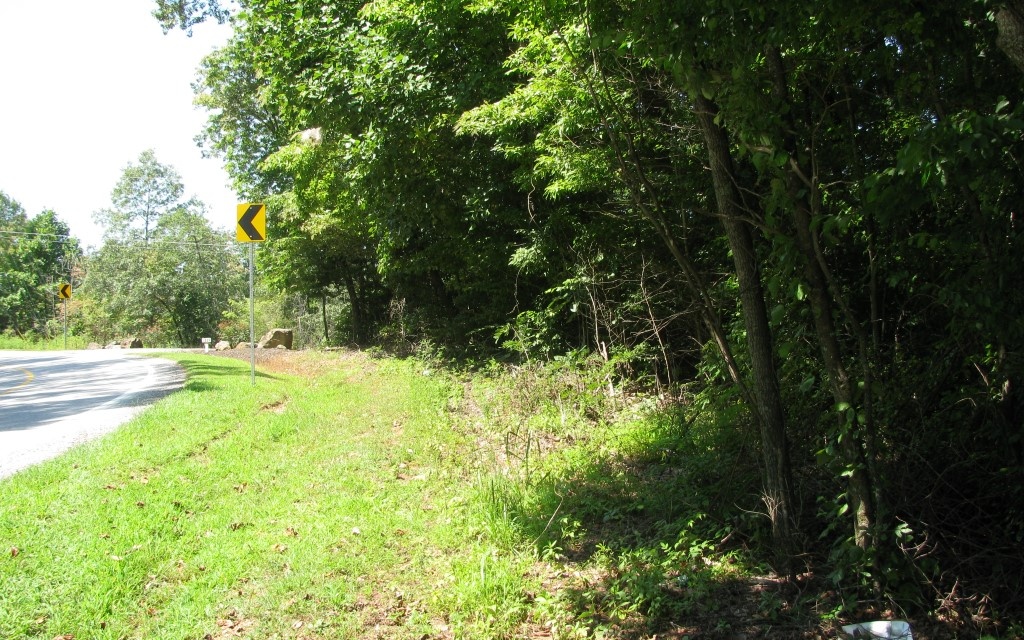 Sunnyside Road Hiawassee, GA 30546 - Photo 5 of 21 Additional View