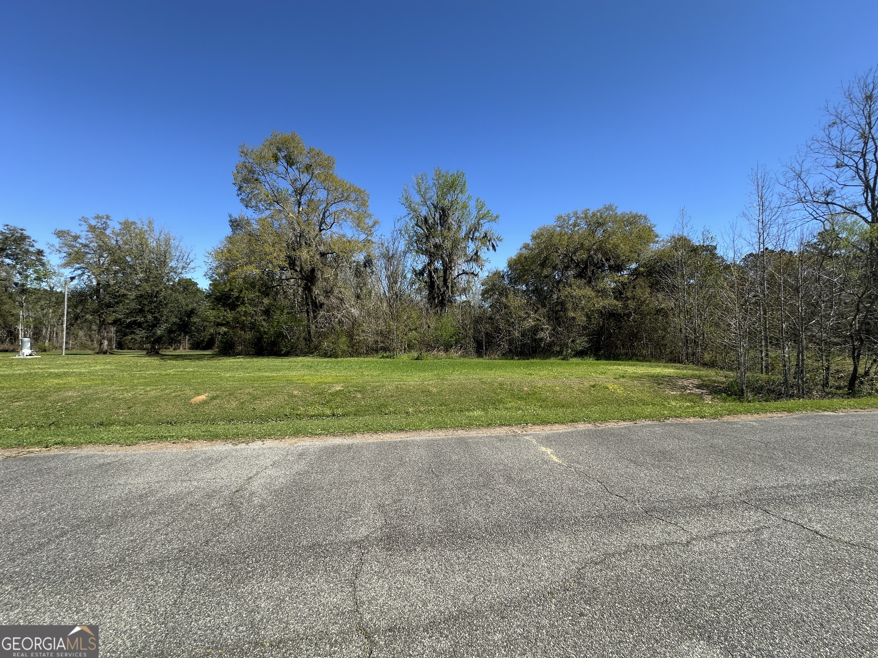31 Turkey Ridge Lane Quitman, GA 31643 - Photo 1 of 1 Gallery Image 1
