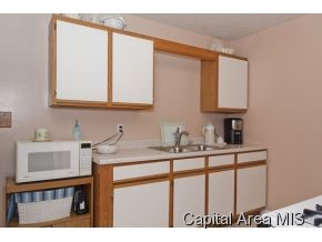 2409 Grom Drive Springfield, IL 62707 - Photo 8 of 16