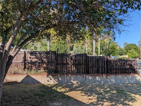 a view of a yard with wooden fence and a large tree