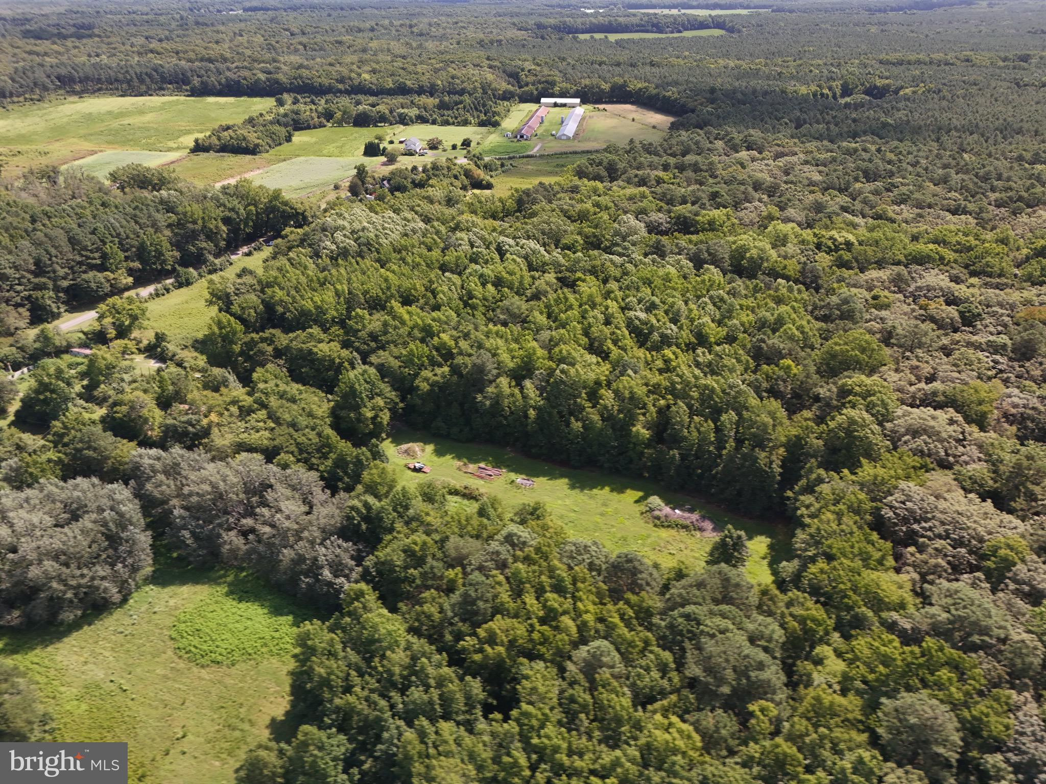 2820 Byrd Road Pocomoke City, MD 21851 - Photo 12 of 13 Gallery Image 12