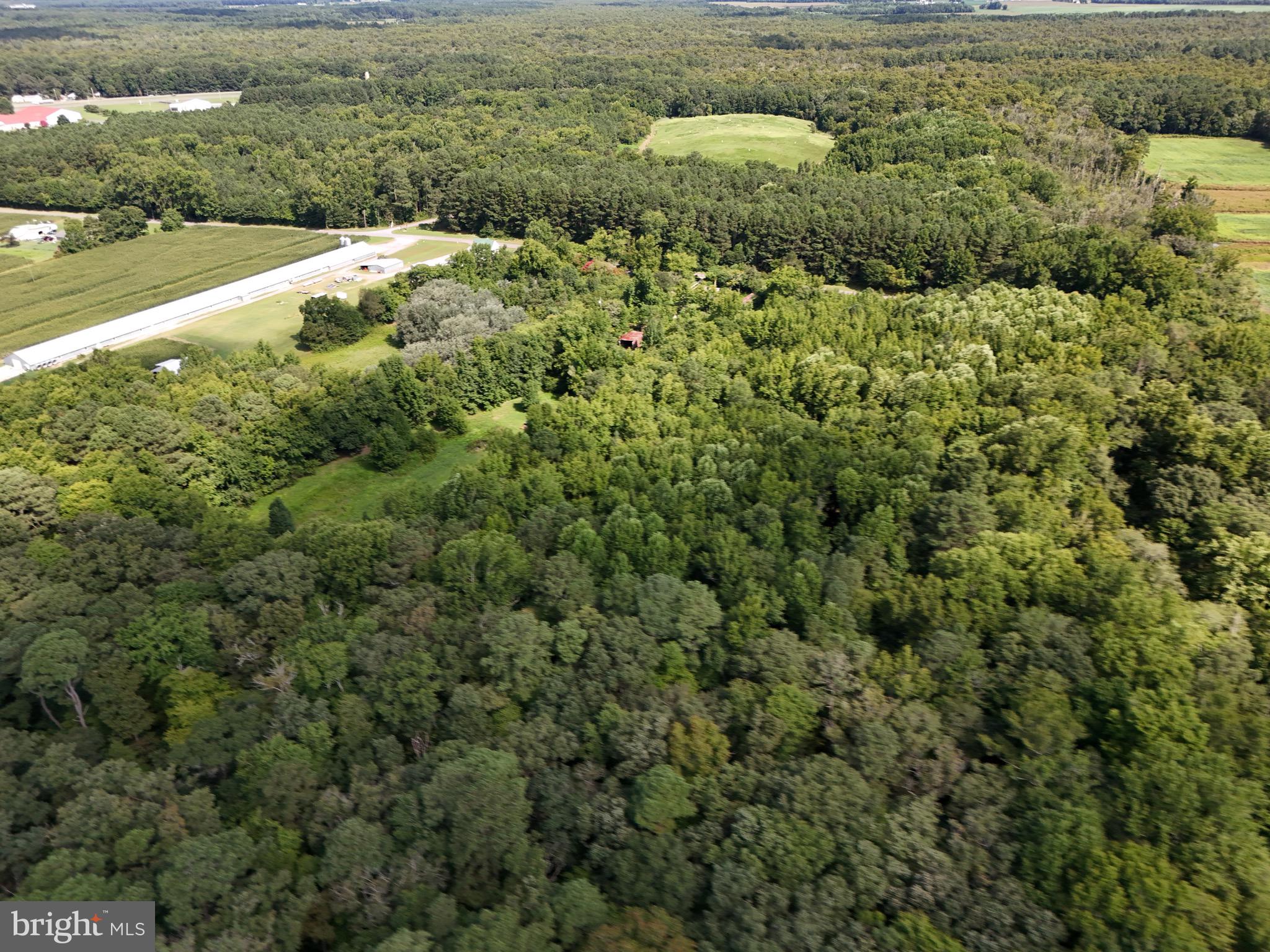 2820 Byrd Road Pocomoke City, MD 21851 - Photo 13 of 13 Gallery Image 13