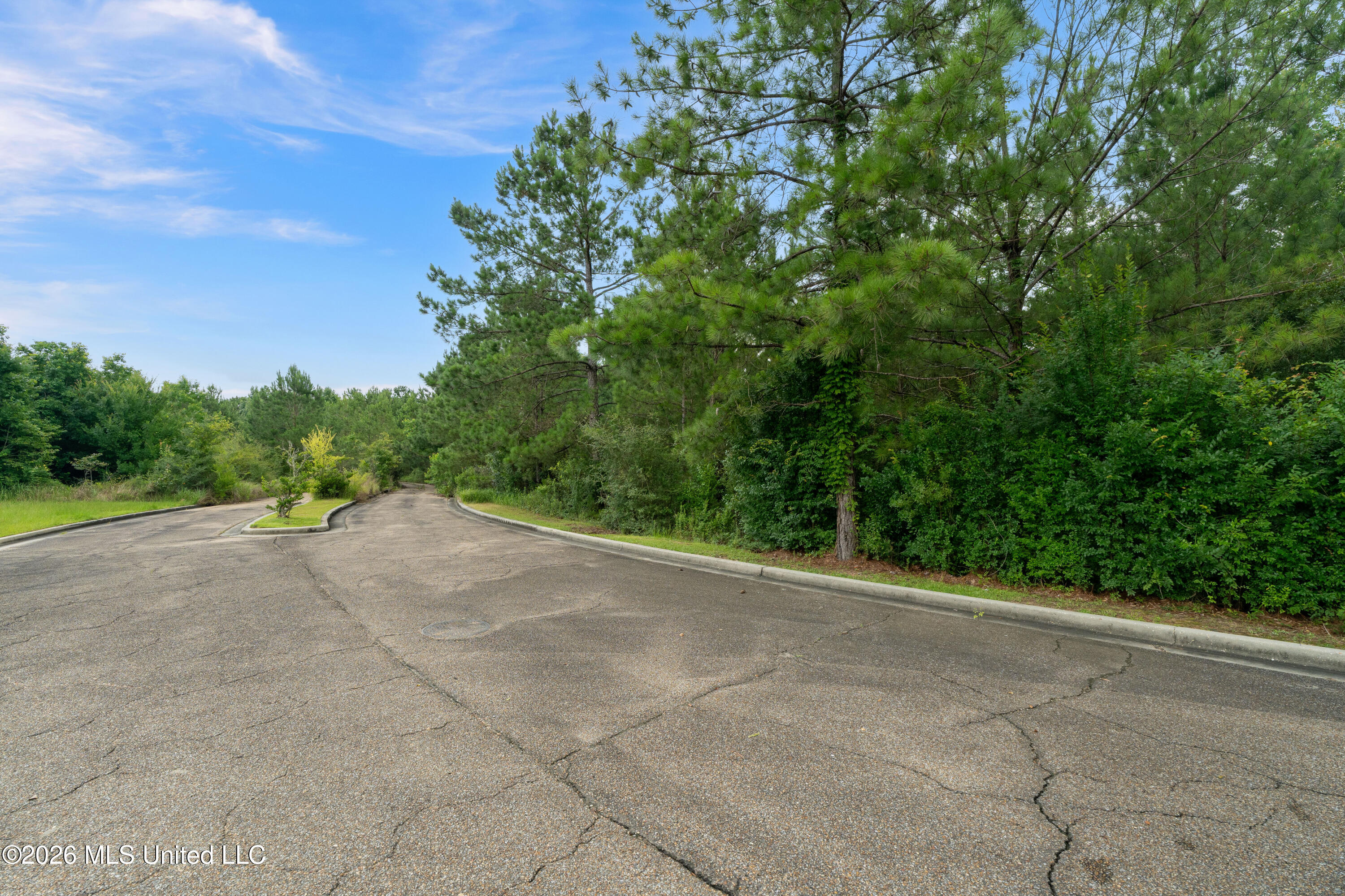 Lincoln Road Hattiesburg, MS 39402 - Photo 12 of 33 00_Lincoln_Rd-11