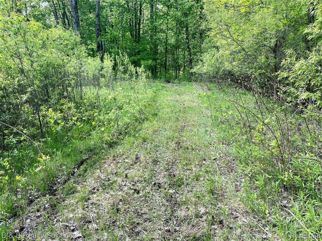 0 O Brien Road Mayville, MI 48744 - Photo 7 of 22