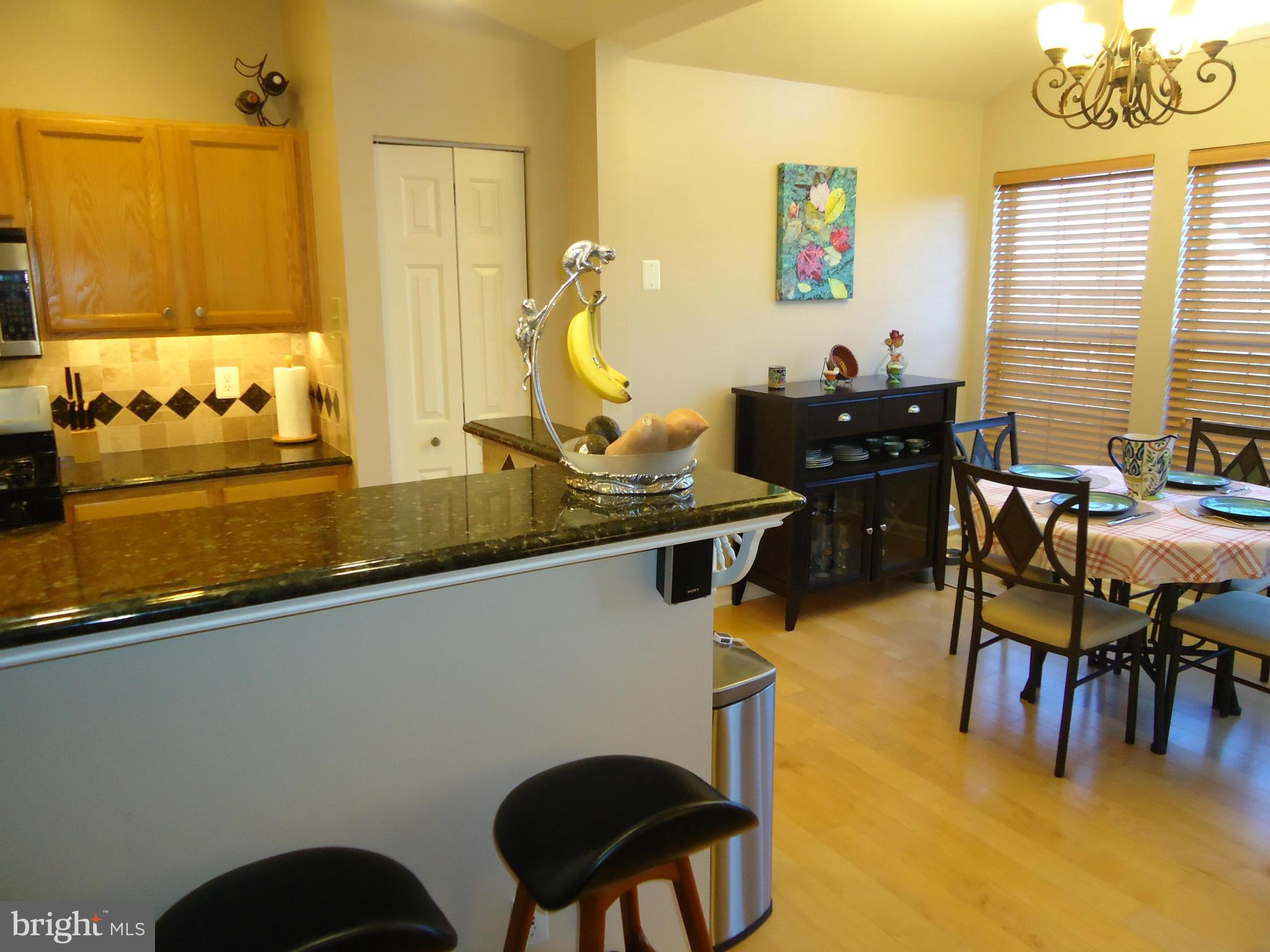 10109 Ridge Manor Terrace, Unit 4000K Damascus, MD 20872 - Photo 7 of 23 Interior (General)