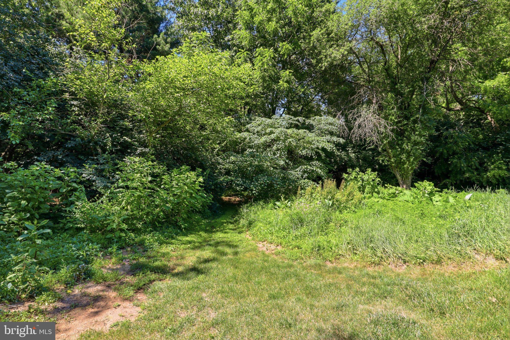 2381 Ridge Road Glenville, PA 17329 - Photo 40 of 58 Lush greenery invites nature's embrace.