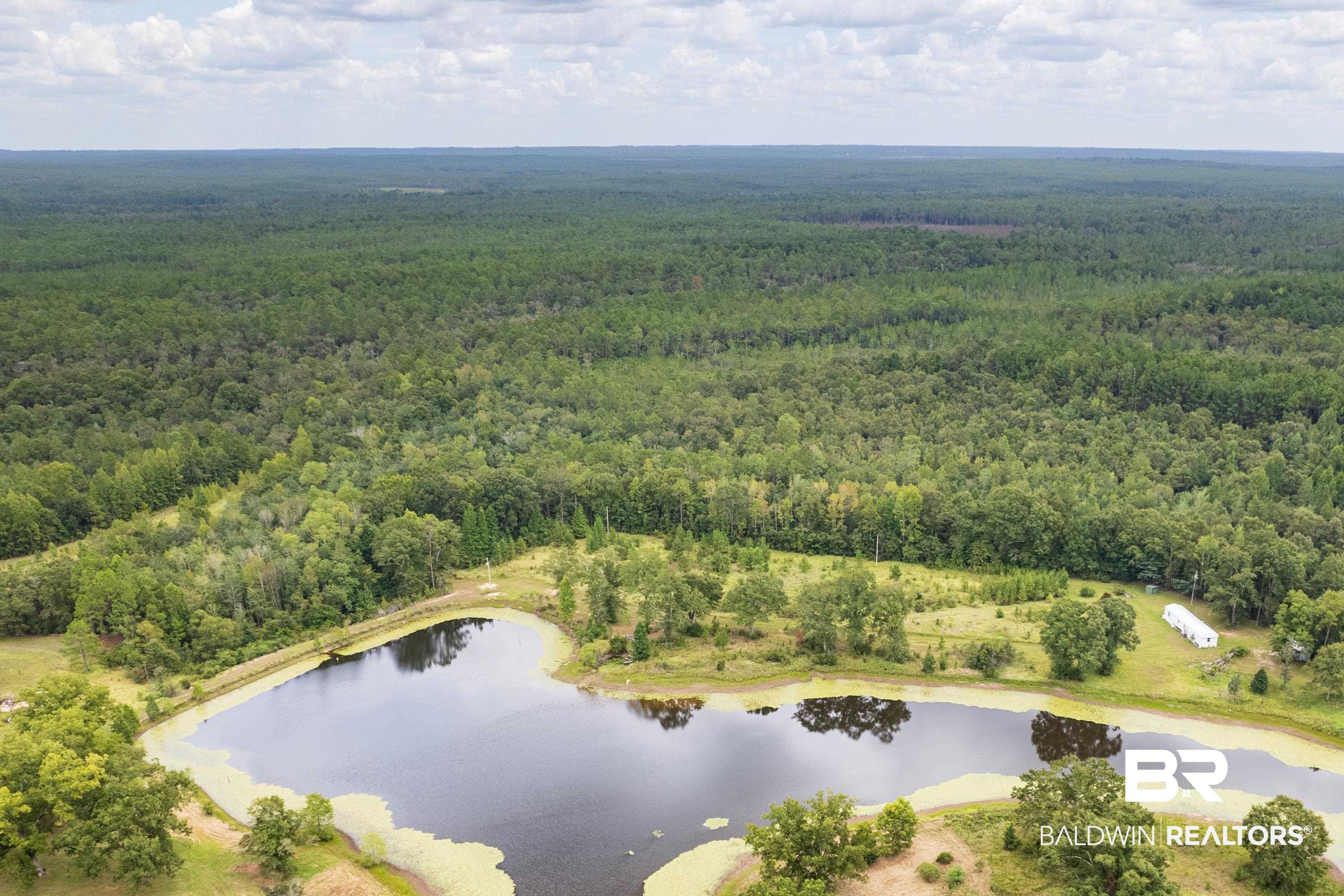 3339 Shiloh Road Vinegar Bend, AL 36584 - Photo 4 of 7