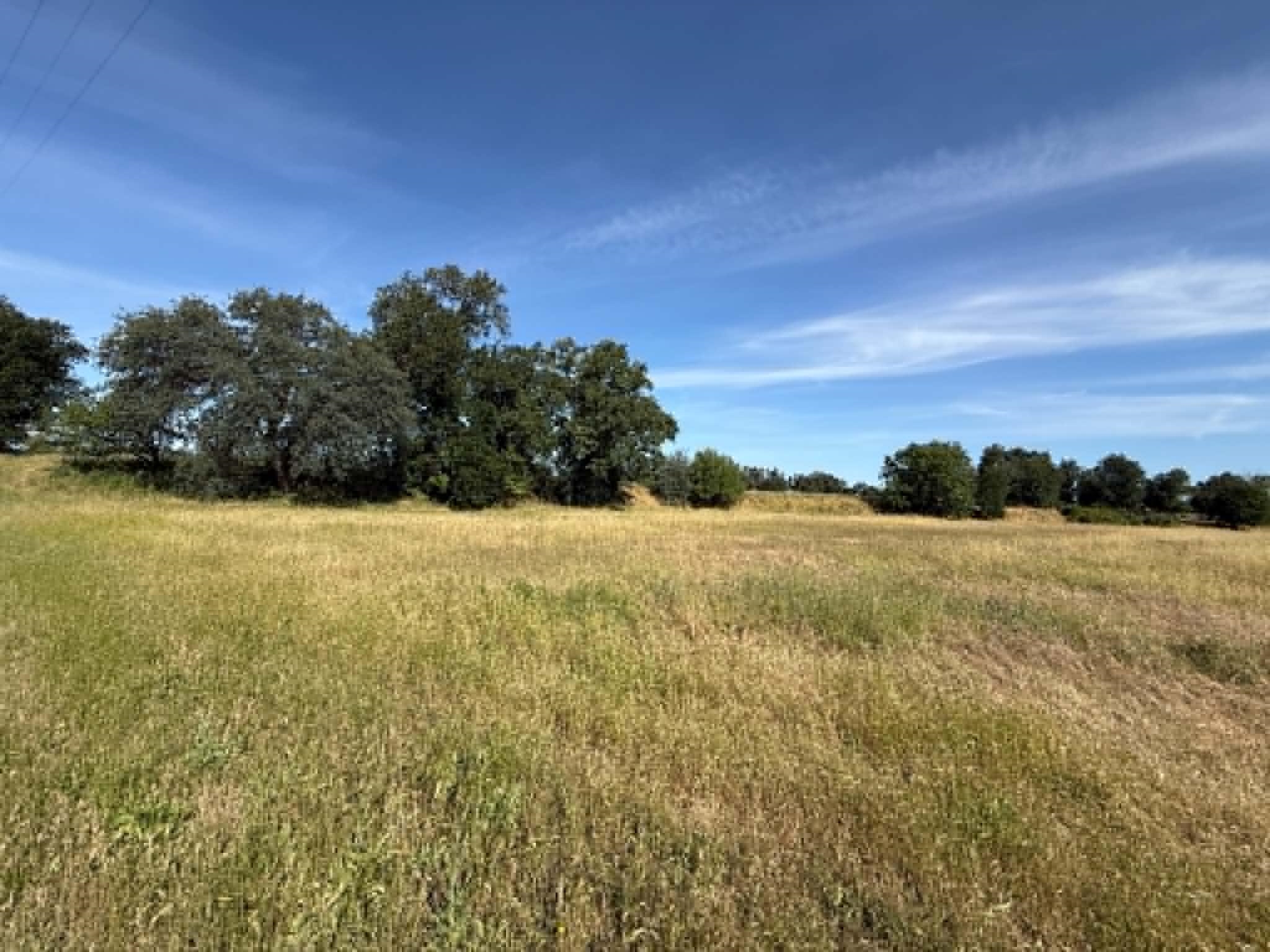 0 Hamilton Avenue Gerber, CA 96035 - Photo 5 of 6