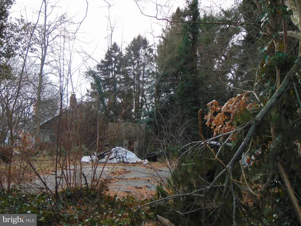 a view of a tree in a backyard of a house