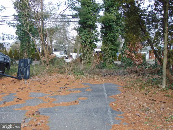 a backyard of a house with large trees and wooden fence